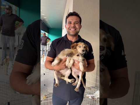 Feira de adoção ❤️ #adoteumpet  #adote  #pets #atibaia #piracaia #saopaulo