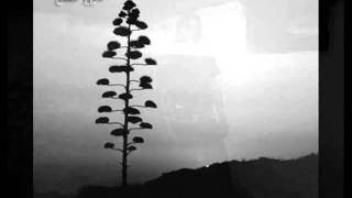 Nae&#39;blis - I Close My Eyes To The World