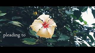 Download lagu Anal Abdu - Cinematic mp3 Download lagu Anal Abdu - Cinematic mp3