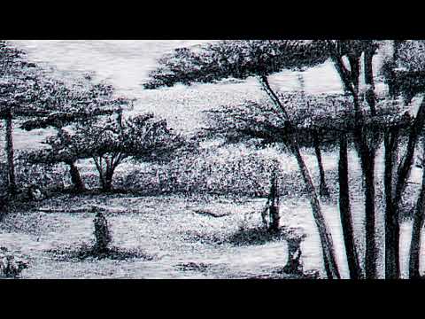 Starboy Shika - Black Savanna (Audio)