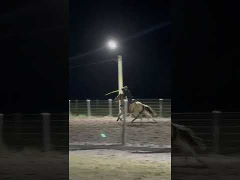 prova de laço capitão poço/pa