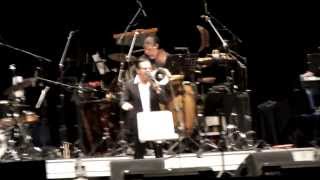 Che Notte - Mondo Cane - Chile 2013