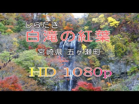 【HD】白滝の紅葉　宮崎県五ヶ瀬町