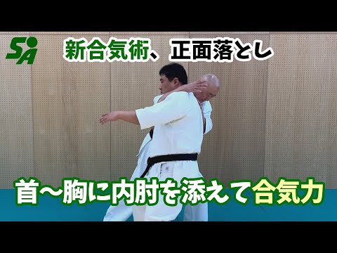 【新合気術】正面落とし