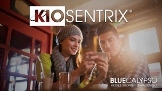 KIOSentrix Platform by Blue Calypso