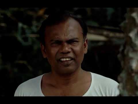 জাটকা সংরক্ষন সপ্তাহ