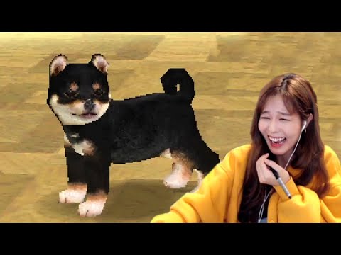 39daph Plays Nintendogs, Cooking Mama, Brain Age, Rhythm Heaven, Trauma Center