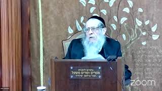 הרה"ג הרב וועכטר שליט"א ח' ניסן תשפ"ד - מאמר הרבי הריי"צ תש"ט ד"ה קול דודי הנה זה בא חלק ג (הרב אברהם מנחם מענדל וכטר) - התמונה מוצגת ישירות מתוך אתר האינטרנט יוטיוב. זכויות היוצרים בתמונה שייכות ליוצרה. קישור קרדיט למקור התוכן נמצא בתוך דף הסרטון