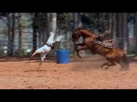 HLMusic TOP Os Tombos  mais Engraçados em Cavalos, Burros e Bois