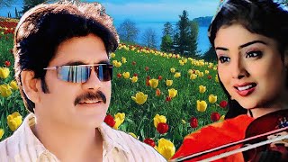 Nenunnanu movie Heart-touching bgm  Nagarjuna  USE