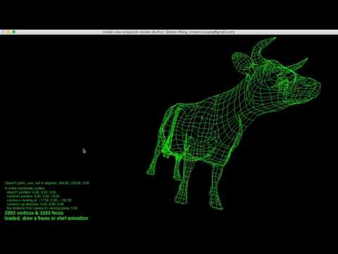 [Renderer] model-view-projection with back-face culling
