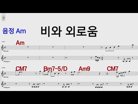 비와 외로움 바람꽃Am/통기타카포.오카리나 악보영상