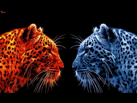 Learn Graphic Design Tutorial: Top Facts and Myths of Graphic Design