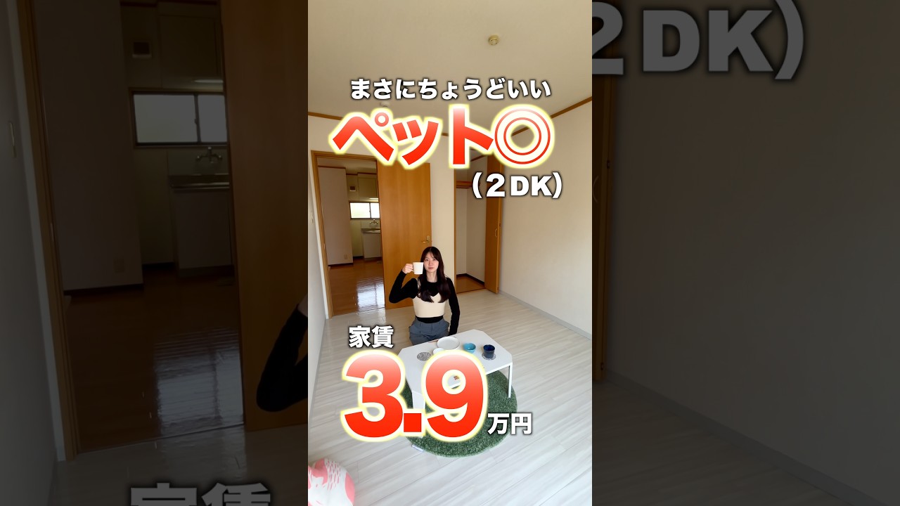 【家賃3.9万円の2DKにペットと住める…!!】同棲にオススメの2DK物件をご紹介♪