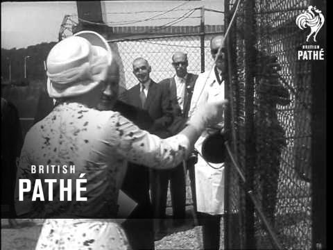 Princess Irene Launches Ship & Princess Beatrix Opens New Kennels (1958)