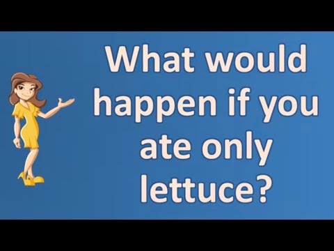 download lagu mp3 mp4 Anne Hathaway Lettuce Diet, download lagu Anne Hathaway Lettuce Diet gratis, unduh video klip Anne Hathaway Lettuce Diet