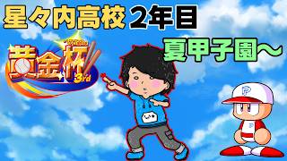 勝ち上がれ星々内高校！ 2年目の夏甲子園～【栄冠ナイン配信者大会 #黄金杯3rd 】【パワプロ2026】ルール概要欄