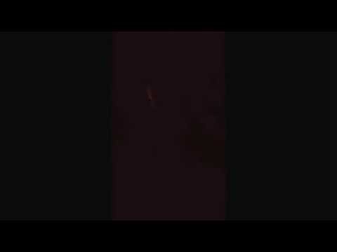 FMMPB playing at the Just Listen concert. They played a selection of Jigs.