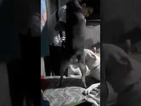 Kuya ice  is coming...