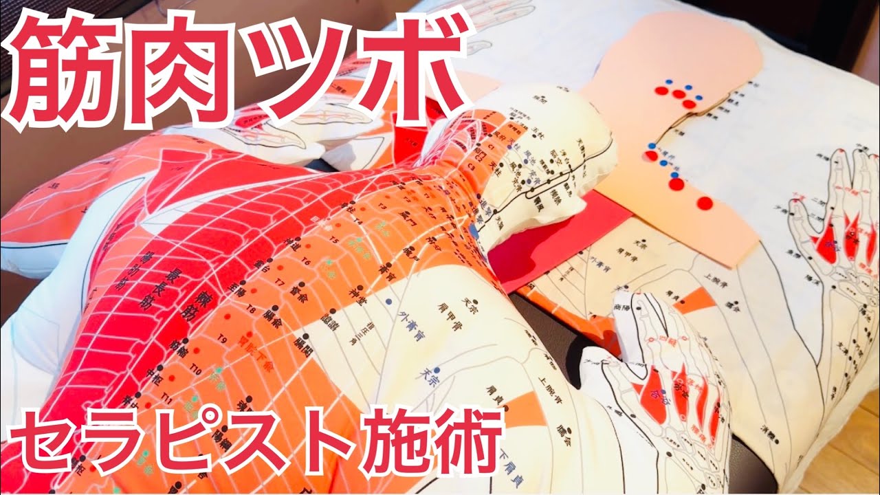 【筋ツボ人形】①セラピスト頚肩ツボ指圧のコツ 天柱 風池 完骨 リタジネン解剖経穴タオル