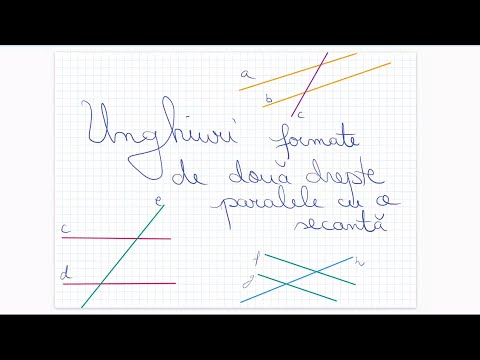Angles formed by two parallel lines with a secant - Grade 6