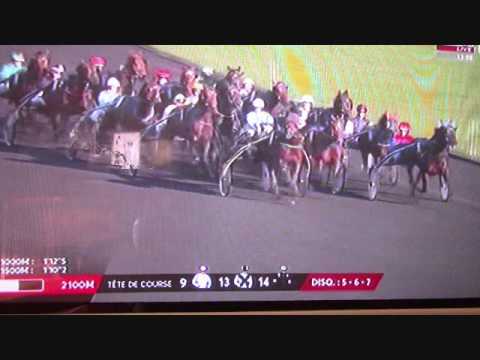 Prix des Alpes, Vincennes le 05 décembre 2016