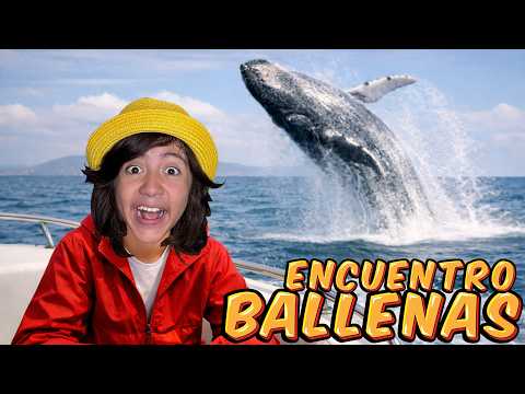 Encuentro BALLENAS y voy de EXPLORACION al Oceano