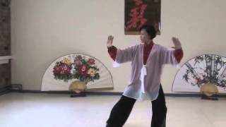 Traditional Sun Style Tai Ji Quan 97 Step by master Faye Yip