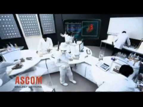 Citadel Capital I Ascom I 2009