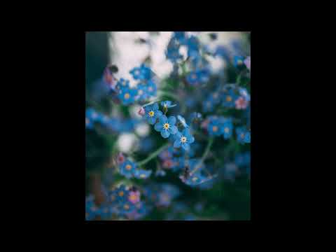 [FREE] midwest emo, fats'e type beat | "instictual"