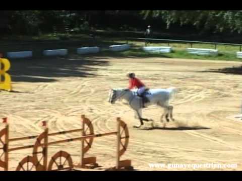 Holsteiner Sport Horses "Chiara MNM" CSI**-W