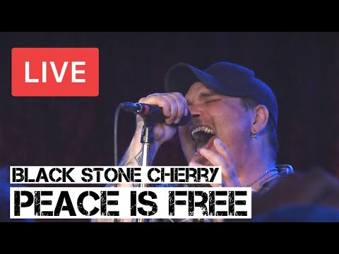 Emotional performance of Peace is Free by Black Stone Cherry