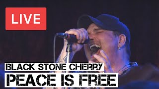 Black Stone Cherry | Peace is Free | LIVE at The Borderline