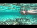 Egypt 2015 (Hurghada, Mahmya) Filmed by ...