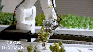 How This Robotic Farm Is Reimagining Agriculture