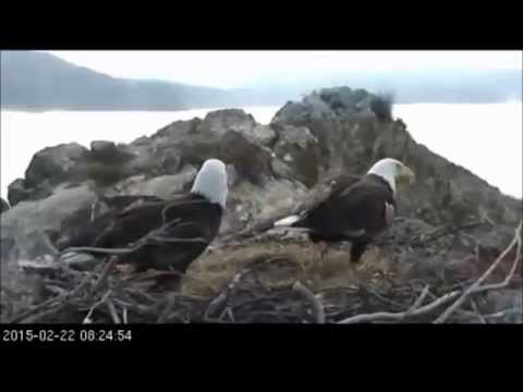 TH - Morning Bonding for K-81 & K-82