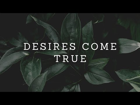 Law of Attraction Quotes You Need to Hear NOW From Abraham Hicks