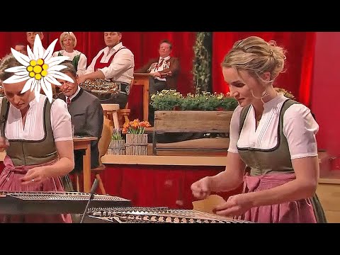 Feiertagsmusig Boarischer - Die Vielsaitigen