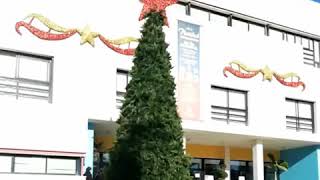 Una magnÃfica celebración del dÃa de la constitución.