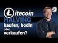 View 13 Litecoin Halving 2021