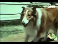 Lassie Sigla Dolce Lassie