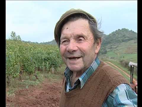 Lo fems per la vinha