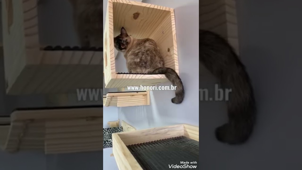 Gatil de parede playground para gatos em madeira maciça - Marcenaria Honori