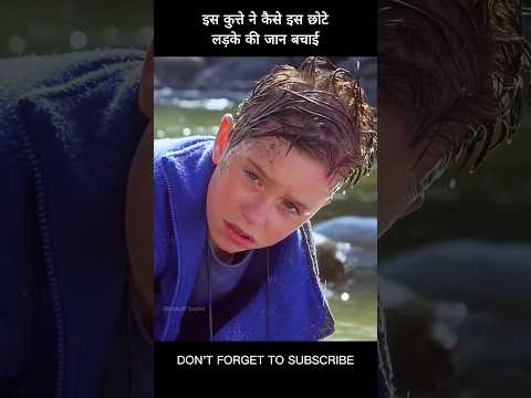 इस कुत्ते ने कैसे इस छोटे लड़के की जान बचाई #shorts #viral