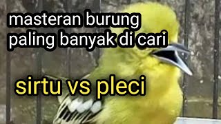 Download lagu sirtu gacor vs pleci ngalas // bikin lawan ngamuk.. @aguslovebritd mp3 Download lagu sirtu gacor vs pleci ngalas // bikin lawan ngamuk.. @aguslovebritd mp3