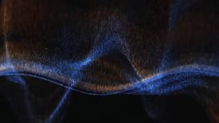 Sasha - Scarpa Falls