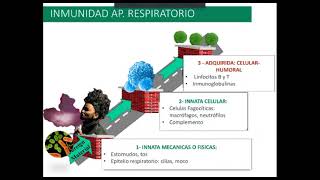 Infescciones Respiratorias (Dra. Lucia Fernandez)