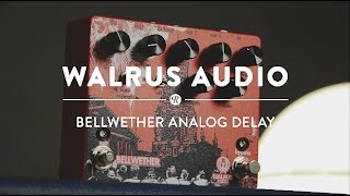 Walrus Audio Bellwether Analog Delay Pedal Demo