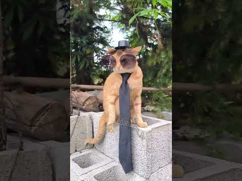 Jennifer quebra telha se arruma para encontro com Garuto usumato