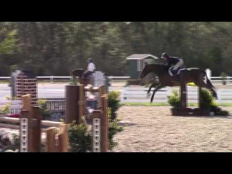 Video of UPTOWN FUNK ridden by KATIE MC DANIEL from ShowNet!